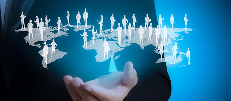 Manage a high professionality of exprting